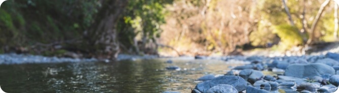 Shoshone Spring Stream Flow and Brook Reconstruction, California (Retrospective)