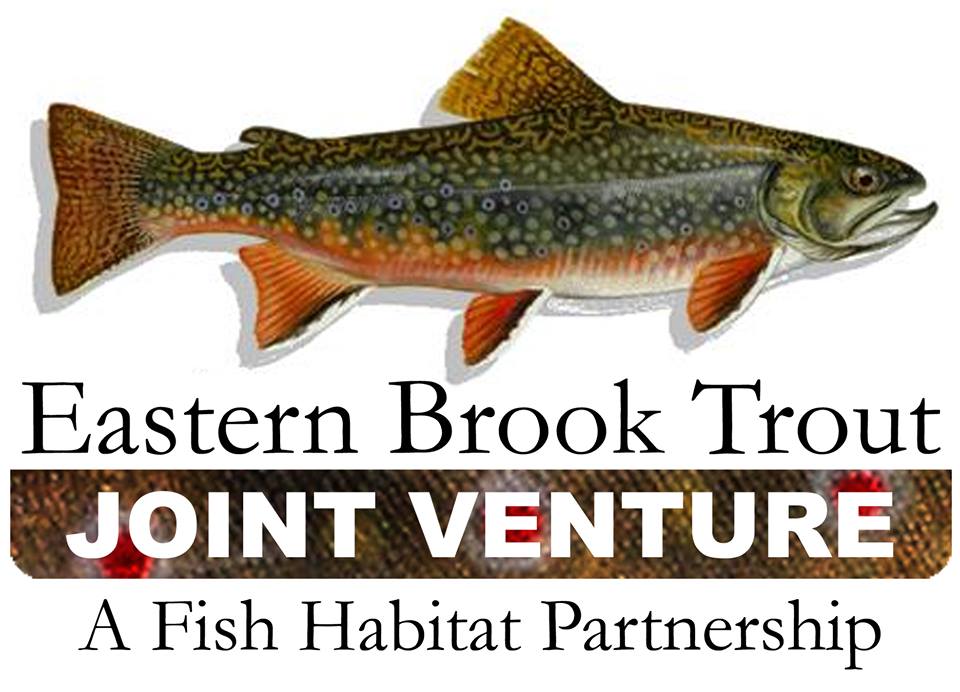 Eastern Brook Trout Joint Venture | National Fish Habitat Partnership