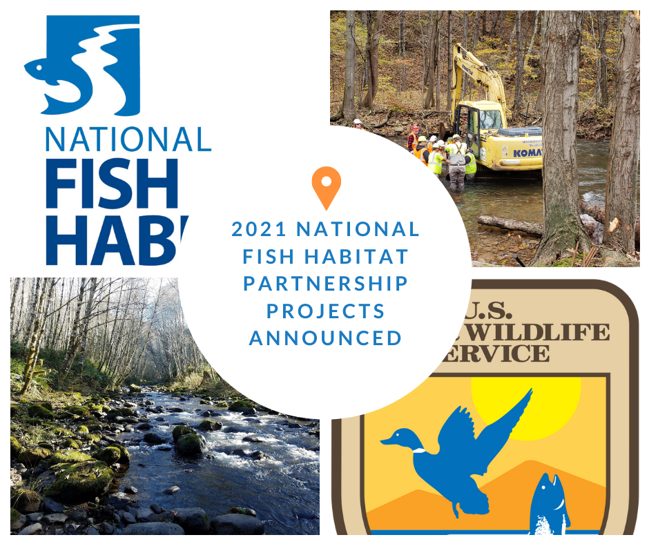 USFWS and Partners Announce More than $34.5 Million for Fish Habitat Conservation in 2021