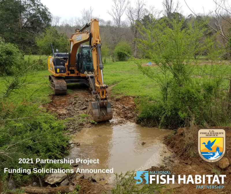 Fish Habitat Partnerships Announce Requests for Funding Proposals for FY21 NFHP Funds