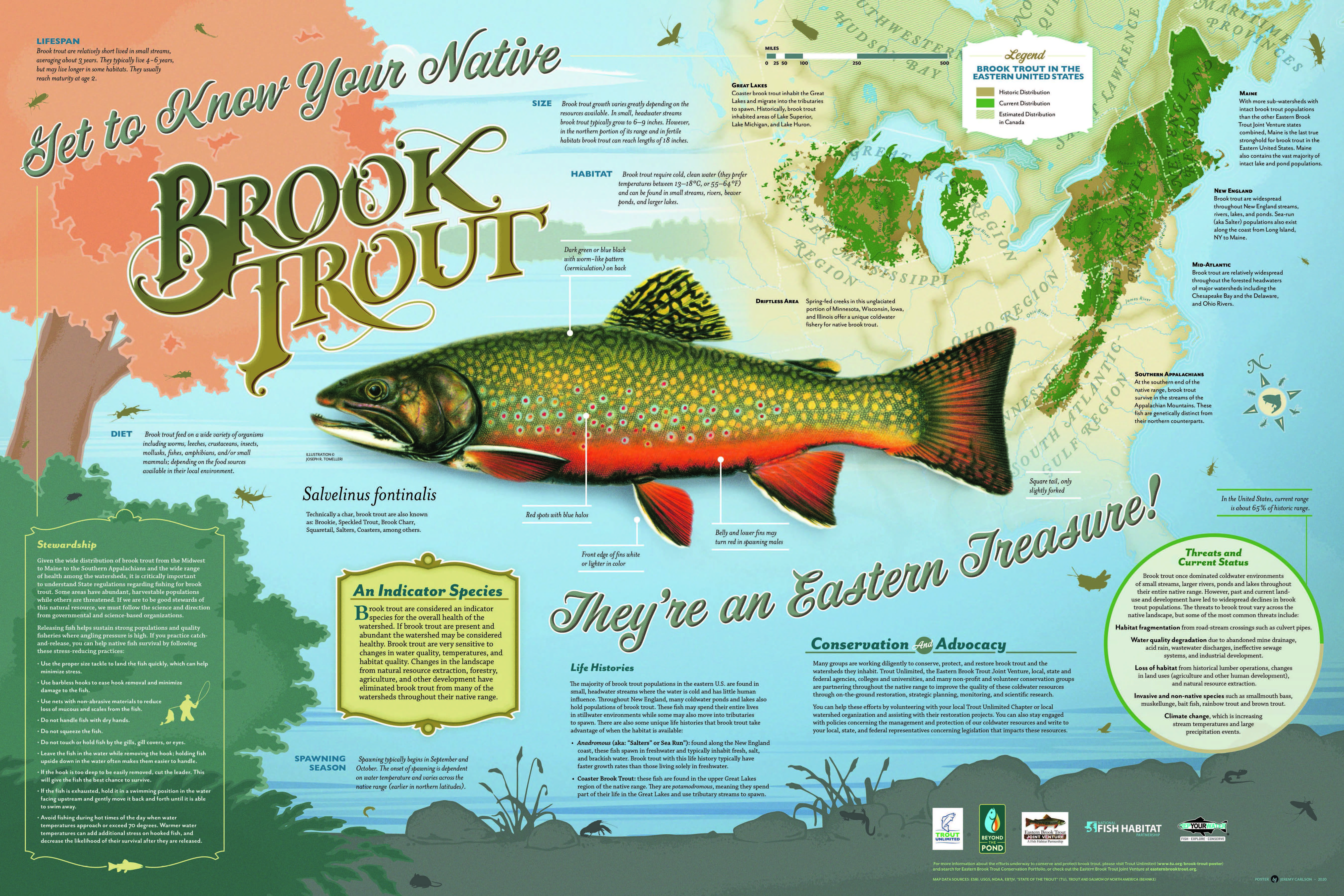Eastern Brook Trout Joint Venture Releases New Brook Trout Poster
