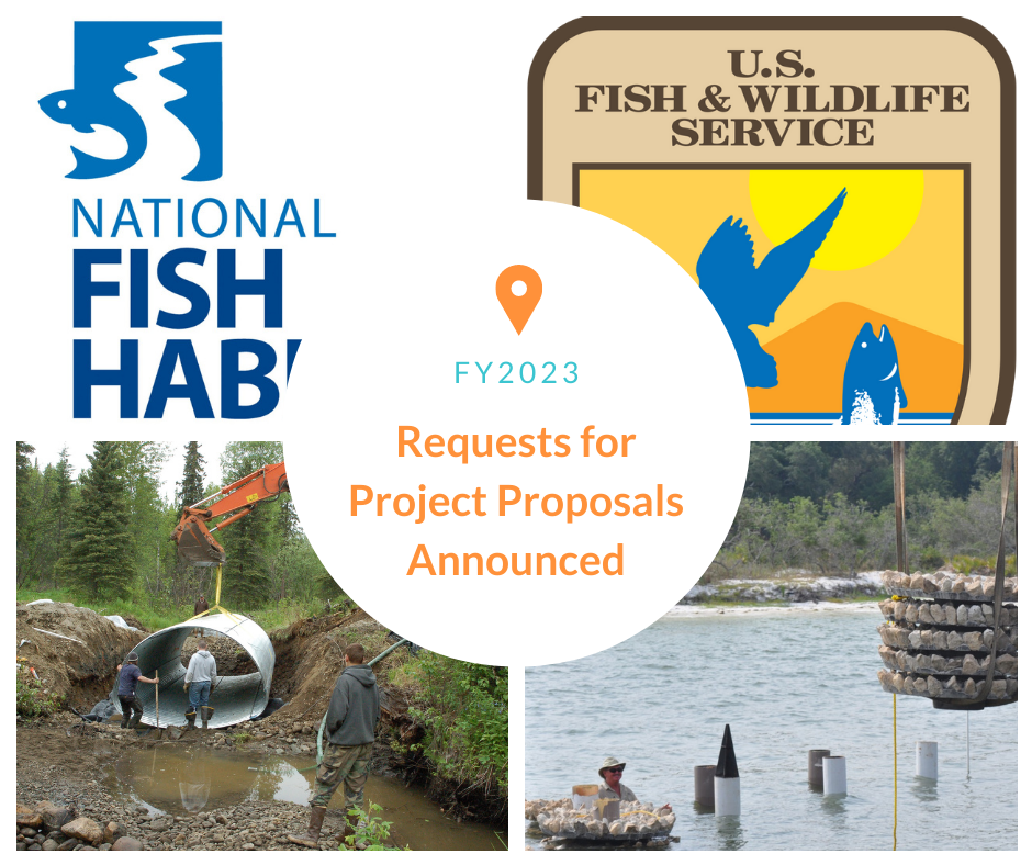 Fish Habitat Partnerships Announce Requests for Funding Proposals for FY23 NFHP Funds