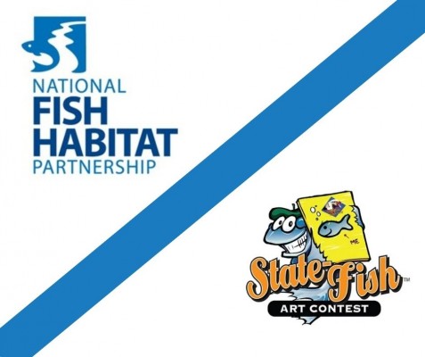 National Fish Habitat Partnership Sponsors Wildlife Forever Fish Art Contest