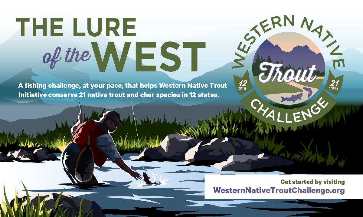 Western Native Trout Initiative Kicks Off Native Trout Challenge