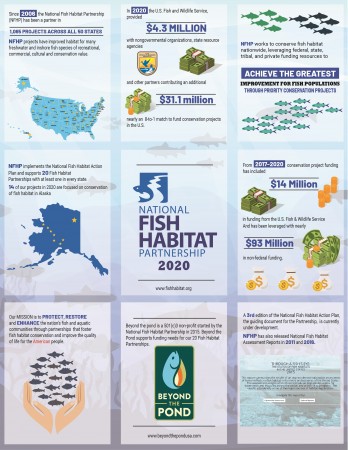 2020 Infographic Highlights Program Achievements